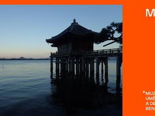 Do Japonska za architekturou (online)