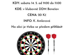 Steelové šipky