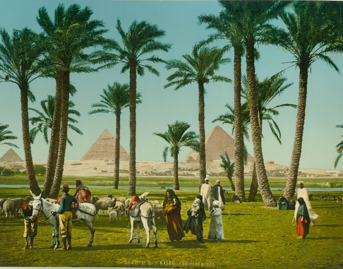 Večerní prohlídka „Exotika v&nbsp;Růžové zahradě“