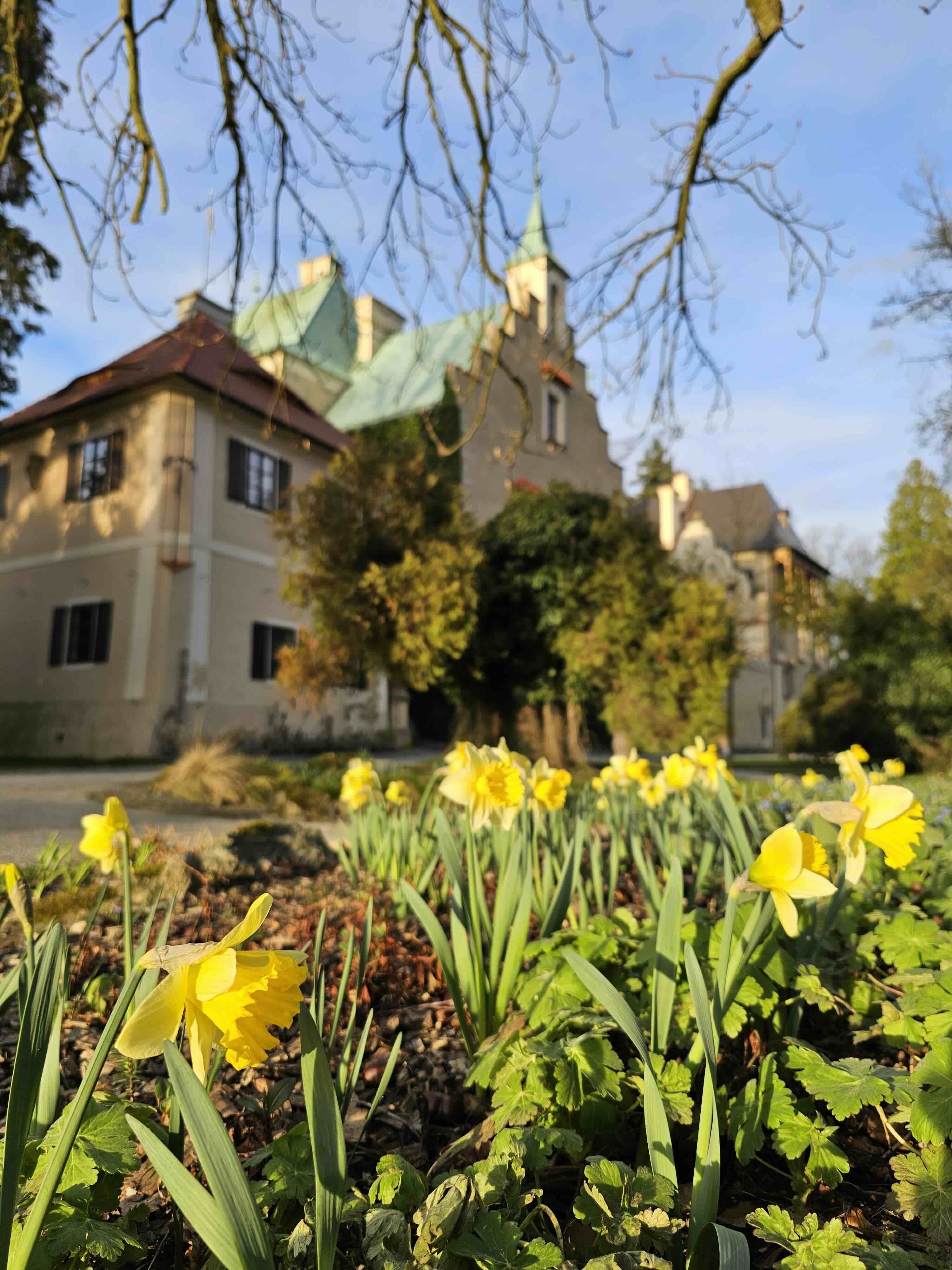Zelený poklad zámku Líšno: Komentovaná prohlídka zámeckým parkem
