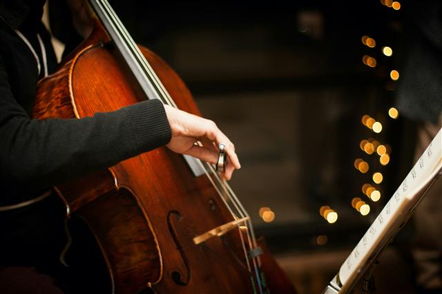 Petr Nouzovský & Martin Kasík